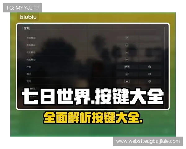 OG真人AG新手入门指南帮助新玩家快速熟悉游戏规则与操作技巧